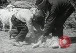 Image of Navajo people's lifestyle United States USA, 1938, second 44 stock footage video 65675023688