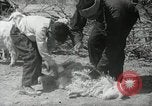 Image of Navajo people's lifestyle United States USA, 1938, second 45 stock footage video 65675023688