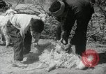 Image of Navajo people's lifestyle United States USA, 1938, second 46 stock footage video 65675023688