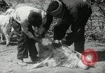 Image of Navajo people's lifestyle United States USA, 1938, second 47 stock footage video 65675023688