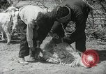 Image of Navajo people's lifestyle United States USA, 1938, second 48 stock footage video 65675023688