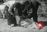 Image of Navajo people's lifestyle United States USA, 1938, second 49 stock footage video 65675023688