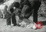 Image of Navajo people's lifestyle United States USA, 1938, second 50 stock footage video 65675023688