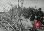 Image of Navajo people's lifestyle United States USA, 1938, second 51 stock footage video 65675023688
