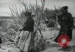 Image of Navajo people's lifestyle United States USA, 1938, second 52 stock footage video 65675023688