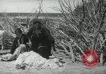 Image of Navajo people's lifestyle United States USA, 1938, second 56 stock footage video 65675023688