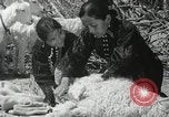Image of Navajo people's lifestyle United States USA, 1938, second 61 stock footage video 65675023688