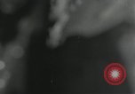 Image of US Marines battle in Bougainville Bougainville Island Papua New Guinea, 1944, second 3 stock footage video 65675023689