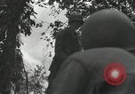 Image of US Marines battle in Bougainville Bougainville Island Papua New Guinea, 1944, second 6 stock footage video 65675023689