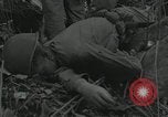 Image of US Marines battle in Bougainville Bougainville Island Papua New Guinea, 1944, second 15 stock footage video 65675023689