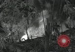 Image of US Marines battle in Bougainville Bougainville Island Papua New Guinea, 1944, second 23 stock footage video 65675023689
