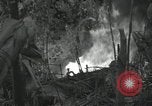 Image of US Marines battle in Bougainville Bougainville Island Papua New Guinea, 1944, second 25 stock footage video 65675023689