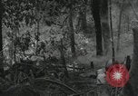 Image of US Marines battle in Bougainville Bougainville Island Papua New Guinea, 1944, second 31 stock footage video 65675023689