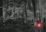 Image of US Marines battle in Bougainville Bougainville Island Papua New Guinea, 1944, second 32 stock footage video 65675023689