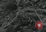 Image of US Marines battle in Bougainville Bougainville Island Papua New Guinea, 1944, second 33 stock footage video 65675023689