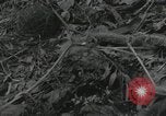 Image of US Marines battle in Bougainville Bougainville Island Papua New Guinea, 1944, second 34 stock footage video 65675023689