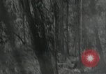 Image of US Marines battle in Bougainville Bougainville Island Papua New Guinea, 1944, second 35 stock footage video 65675023689