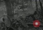 Image of US Marines battle in Bougainville Bougainville Island Papua New Guinea, 1944, second 37 stock footage video 65675023689
