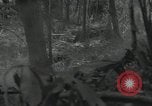Image of US Marines battle in Bougainville Bougainville Island Papua New Guinea, 1944, second 38 stock footage video 65675023689