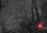 Image of US Marines battle in Bougainville Bougainville Island Papua New Guinea, 1944, second 39 stock footage video 65675023689
