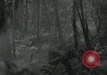 Image of US Marines battle in Bougainville Bougainville Island Papua New Guinea, 1944, second 40 stock footage video 65675023689