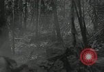 Image of US Marines battle in Bougainville Bougainville Island Papua New Guinea, 1944, second 41 stock footage video 65675023689