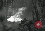 Image of US Marines battle in Bougainville Bougainville Island Papua New Guinea, 1944, second 43 stock footage video 65675023689