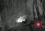 Image of US Marines battle in Bougainville Bougainville Island Papua New Guinea, 1944, second 49 stock footage video 65675023689