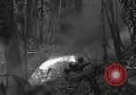 Image of US Marines battle in Bougainville Bougainville Island Papua New Guinea, 1944, second 50 stock footage video 65675023689