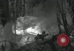 Image of US Marines battle in Bougainville Bougainville Island Papua New Guinea, 1944, second 52 stock footage video 65675023689