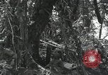 Image of Bougainville wounded US soldier Bougainville Island Papua New Guinea, 1944, second 3 stock footage video 65675023690