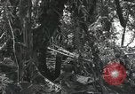 Image of Bougainville wounded US soldier Bougainville Island Papua New Guinea, 1944, second 4 stock footage video 65675023690