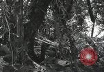 Image of Bougainville wounded US soldier Bougainville Island Papua New Guinea, 1944, second 5 stock footage video 65675023690