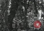Image of Bougainville wounded US soldier Bougainville Island Papua New Guinea, 1944, second 6 stock footage video 65675023690