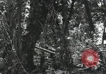 Image of Bougainville wounded US soldier Bougainville Island Papua New Guinea, 1944, second 7 stock footage video 65675023690