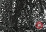 Image of Bougainville wounded US soldier Bougainville Island Papua New Guinea, 1944, second 9 stock footage video 65675023690
