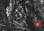 Image of Bougainville wounded US soldier Bougainville Island Papua New Guinea, 1944, second 10 stock footage video 65675023690