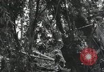 Image of Bougainville wounded US soldier Bougainville Island Papua New Guinea, 1944, second 11 stock footage video 65675023690