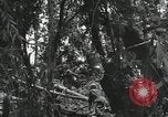 Image of Bougainville wounded US soldier Bougainville Island Papua New Guinea, 1944, second 12 stock footage video 65675023690