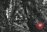 Image of Bougainville wounded US soldier Bougainville Island Papua New Guinea, 1944, second 13 stock footage video 65675023690