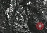 Image of Bougainville wounded US soldier Bougainville Island Papua New Guinea, 1944, second 14 stock footage video 65675023690