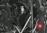 Image of Bougainville wounded US soldier Bougainville Island Papua New Guinea, 1944, second 15 stock footage video 65675023690
