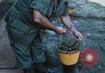 Image of Asphalt plant Long Binh Vietnam, 1969, second 49 stock footage video 65675023700