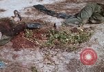 Immagine di Soldati Vietcong Long Binh Vietnam, 1969, secondo 11 filmato di repertorio 65675023706