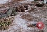 Immagine di Soldati Vietcong Long Binh Vietnam, 1969, secondo 15 filmato di repertorio 65675023706