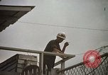 Immagine di La polizia militare Long Binh Vietnam, 1970, secondo 36 filmato di repertorio 65675023711