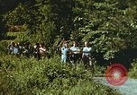 Image of chicks in nest Harlan Kentucky USA, 1942, second 3 stock footage video 65675023734