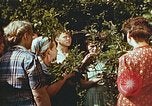 Image of chicks in nest Harlan Kentucky USA, 1942, second 22 stock footage video 65675023734