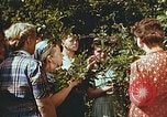 Image of chicks in nest Harlan Kentucky USA, 1942, second 25 stock footage video 65675023734