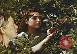 Image of chicks in nest Harlan Kentucky USA, 1942, second 35 stock footage video 65675023734